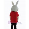 Easter Bunny Rabbit mascot costume