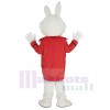 Wendell Rabbit mascot costume