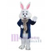 Easter Bunny Rabbit mascot costume