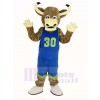 Texas Longhorns Bull in Blue Sportswear Mascot Costume