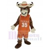 Longhorns Bull mascot costume