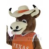 Longhorns Bull mascot costume