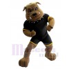 Bulldog mascot costume