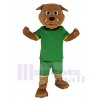 Bulldog mascot costume