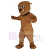 Bulldog mascot costume