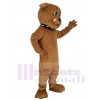 Bulldog mascot costume