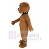 Bulldog mascot costume