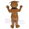 Bulldog mascot costume