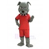 Bulldog Dog mascot costume