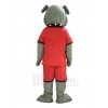 Bulldog Dog mascot costume