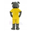 Bulldog Dog mascot costume