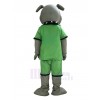 Bulldog Dog mascot costume