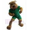 Bulldog Custom Animal Mascot Costume