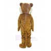 Tiger mascot costume