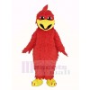 Red Chicken Rooster Mascot Costume Animal