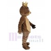 Bear mascot costume