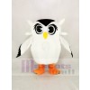 Cute White Owl Mascot Costume Cartoon