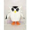 Cute White Owl Mascot Costume Cartoon