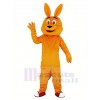 Orange Kangaroo Mascot Costume Cartoon