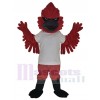 Cardinal mascot costume