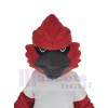 Cardinal mascot costume