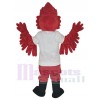 Cardinal mascot costume