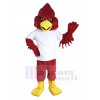 Cardinal mascot costume