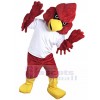 Cardinal mascot costume
