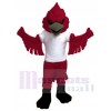 Cardinal mascot costume