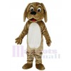 Cute Brown Dog Mascot Costume School