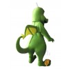 Dragon Mascot Costume