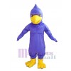 Hawk mascot costume