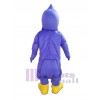 Hawk mascot costume