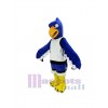 Seahawk mascot costume