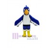 Seahawk mascot costume