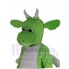 Dragon mascot costume