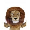 Lion mascot costume