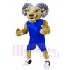 Ram mascot costume