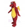 Dragon mascot costume