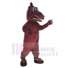 Dragon mascot costume