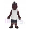 Dragon mascot costume