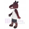 Dragon mascot costume