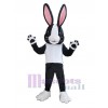 Easter Bunny Rabbit mascot costume