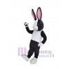 Easter Bunny Rabbit mascot costume