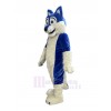 Wolf mascot costume
