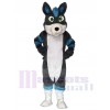 Gray and Blue Husky Dog Fursuit Mascot Costumes Animal