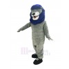 Lion mascot costume