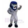 Lion mascot costume