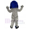 Lion mascot costume