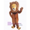 Lion mascot costume